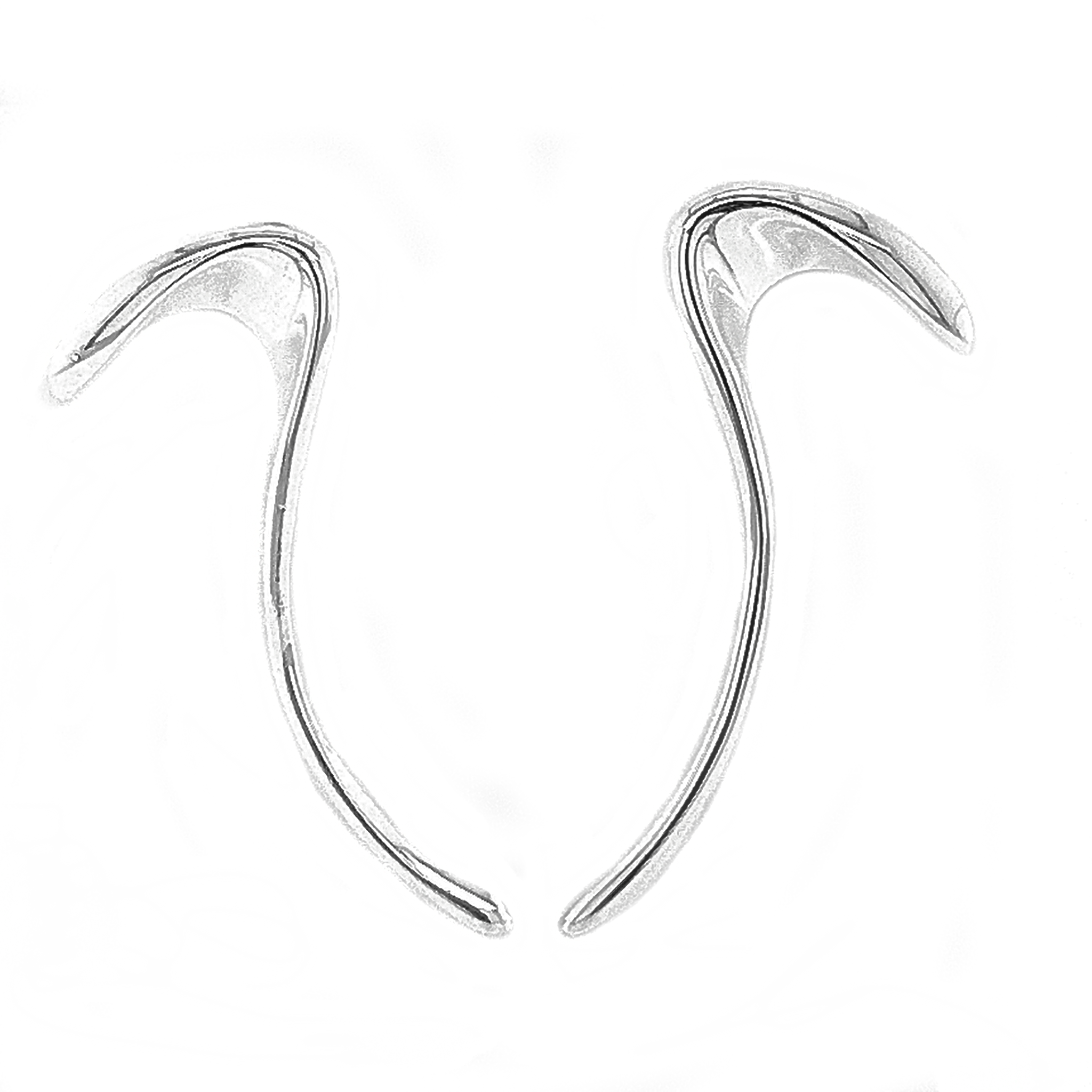 Silver Swan Stud Earrings