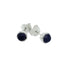 Silver Orbit Iolite Stud Earrings