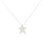 Silver Satin Abstract Star Pendant on Chain